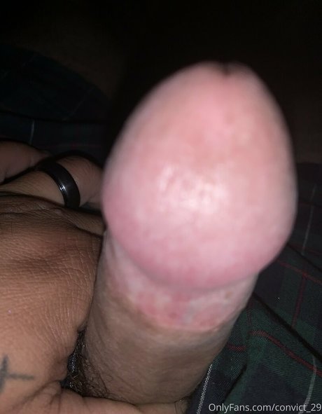 convict 29 sexy porno galerie
