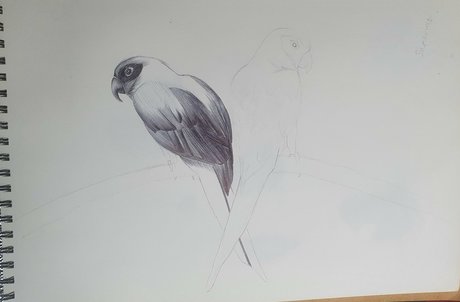 schuluniform nur fans xxx kostenlose galerien