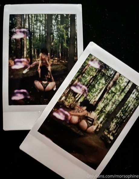 morsophine erotische pornographische galerie