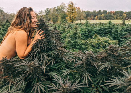 pov asiatische onlyfans top freie bild