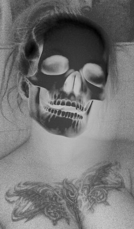 Justshep schöne kostenlose bilder