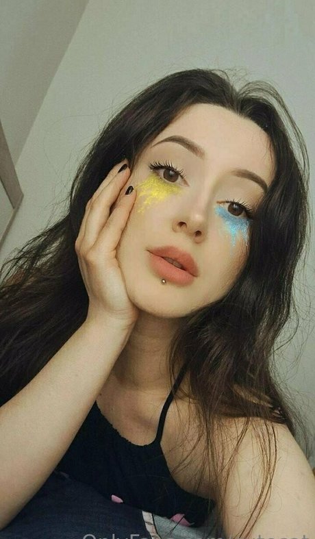 Cutecat erwachsene freie fotos