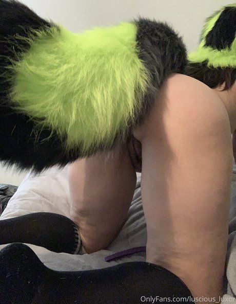 luxurious luxor hd sexy bild