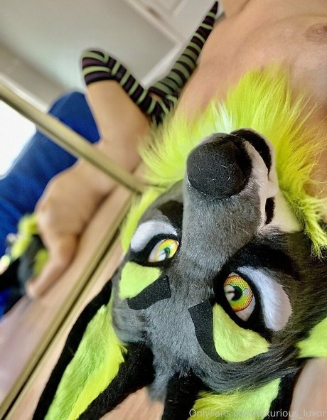 luxurious luxor perfekte erwachsene galerie