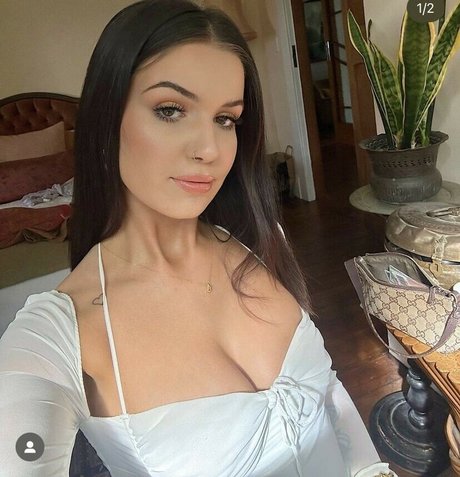 pets hendrikseigshid top pornostar galerien