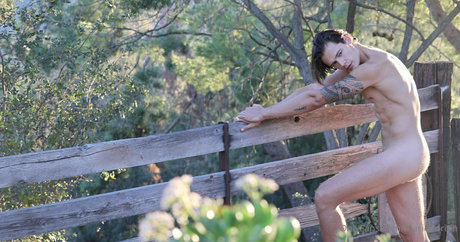 marioadrion Profilbild