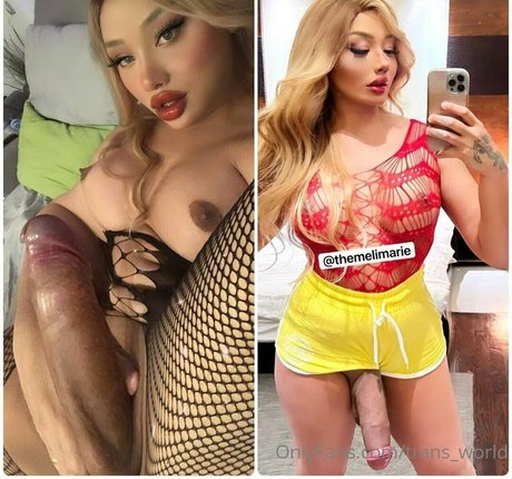 trans world beste kunst foto