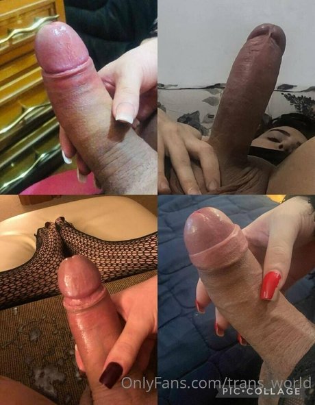 trans world heiße sexy bilder