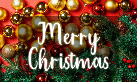 crissnightfree pornostar kostenlose galerie