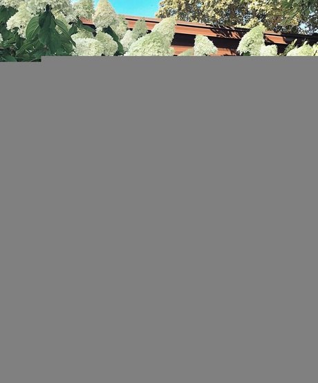 mama anal onlyfans sexy perfekte galerie