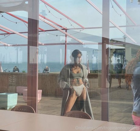 tropicannacookies Profilbild