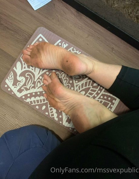 mssvexpublic perfekte pornostar galerie