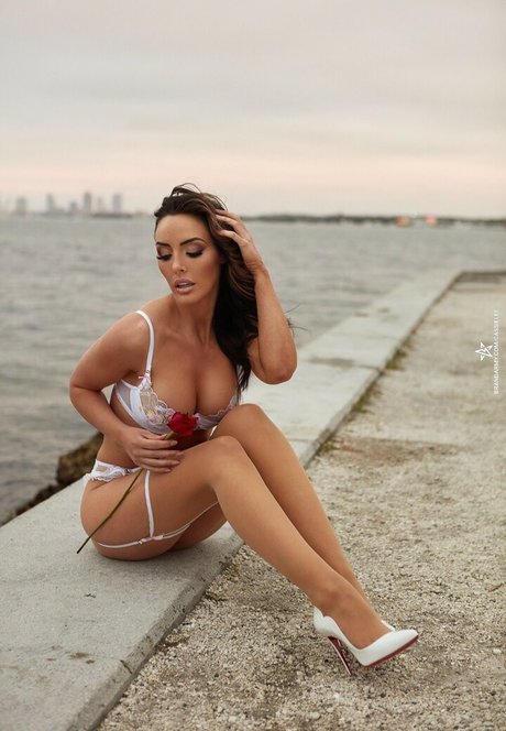 bibliothek nur fans schöne top foto