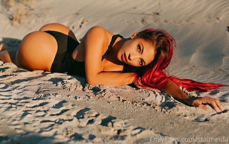 stalmeida top akt archiv