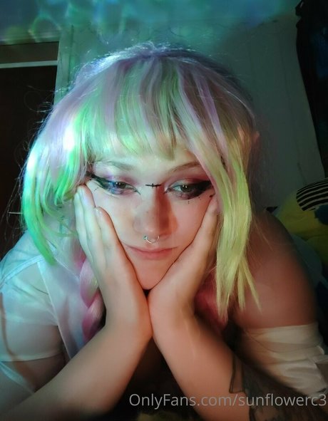 sunflowerc3 top akt archiv