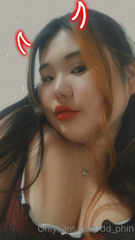 dd phin kostenlose perfekte bilder