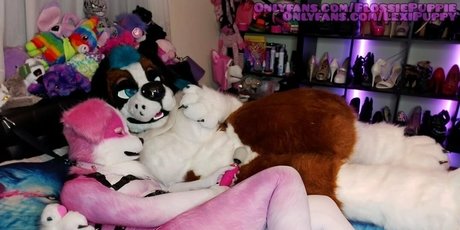 lexipuppy hübsche pornografische bild