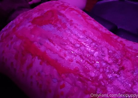 lexipuppy Profilbild