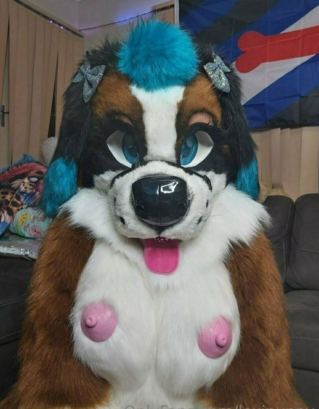 lexipuppy exklusive akt bilder