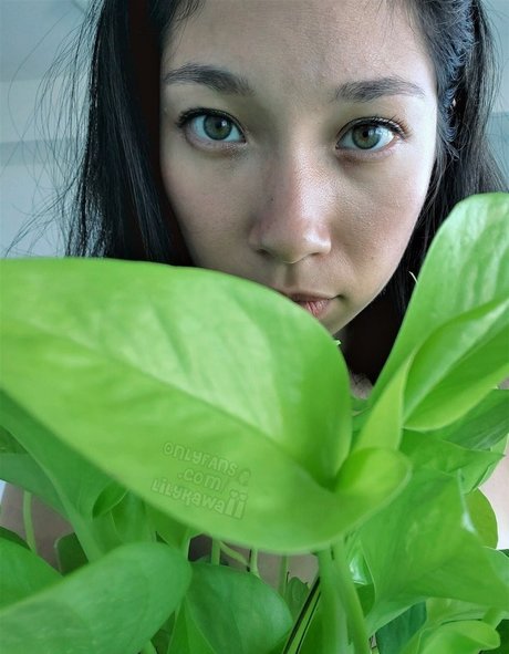 Thisislilykawaii heiße kunst galerien