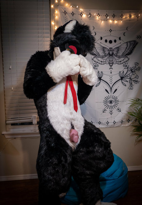 yiffykitty perfekte kostenlose fotos