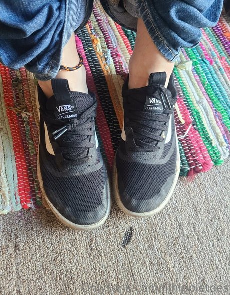 lilhippietoes kunst nette fotos