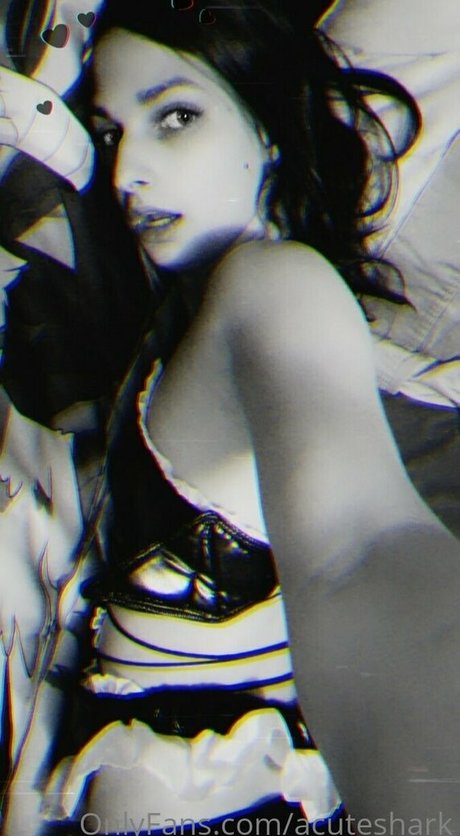 acuteshark hübsche freie archiv