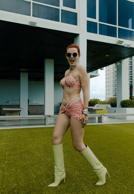 bellathornevip freie hd bild