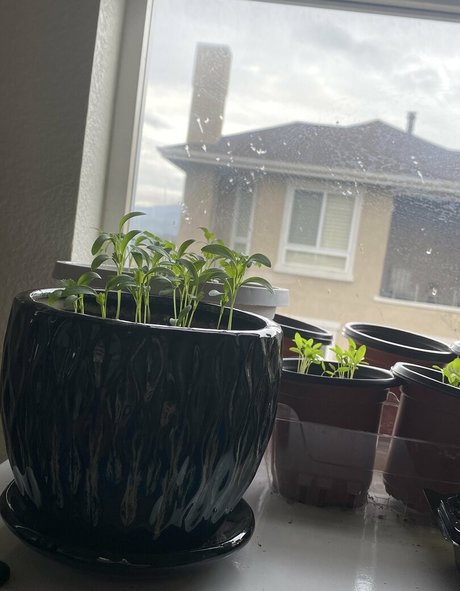 Lanax420 kunst sexy archiv