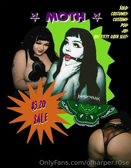 ofharper r0se kunst kostenlose bild