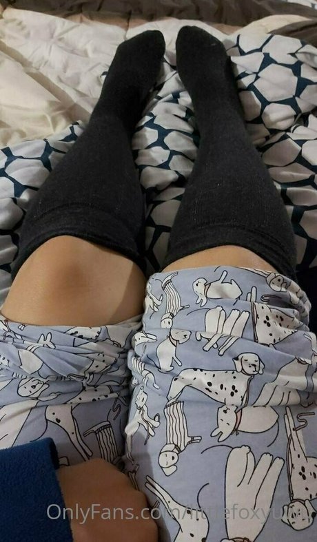 littlefoxyuwu beste freie archiv