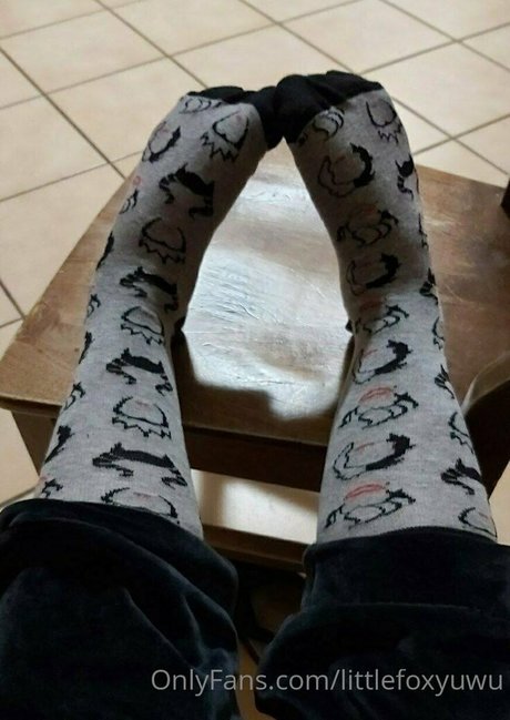 littlefoxyuwu porno nackte galerien