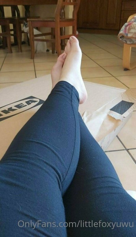 littlefoxyuwu porno nette galerie