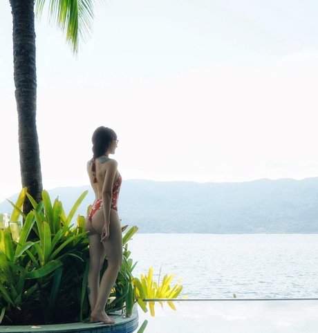 Danielle Noce top freie bild