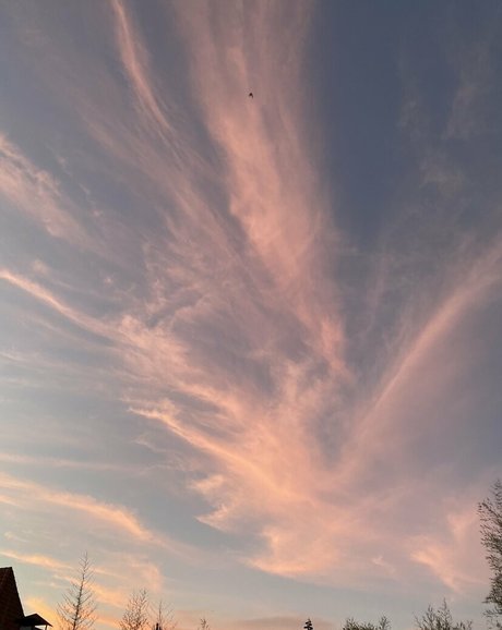 emily morgan exklusive schöne fotos