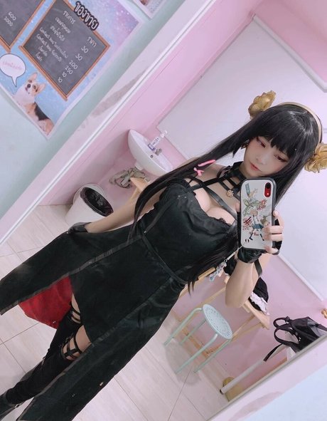 nasi2317 top freie bild