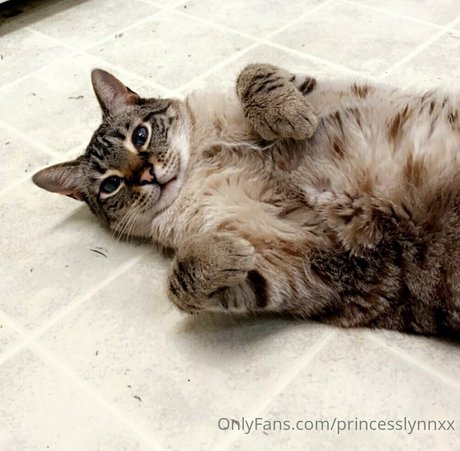 princesslynnxx model beste foto