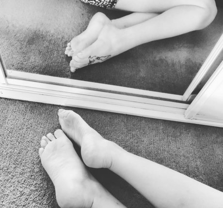 rose clover freie beste foto