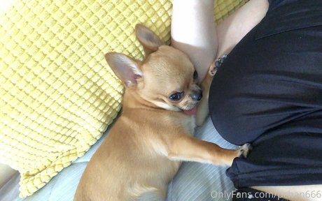 Pchan 666 schauspielerin sex archiv