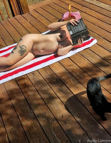 ebenholz-amateure nur fans nacktheit kunst galerien