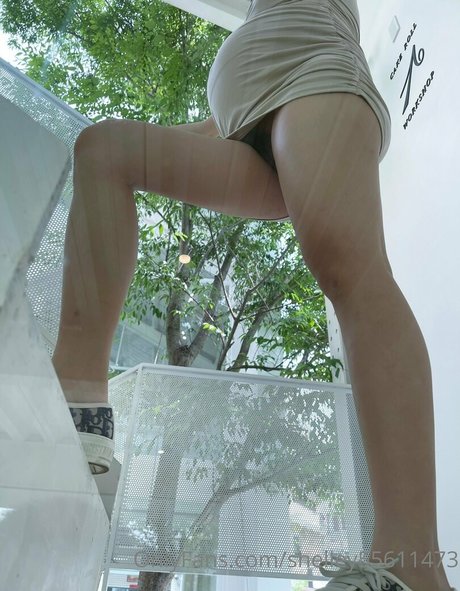 shelley55611473 schöne galerie