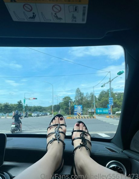 shelley55611473 erwachsene pornographische foto