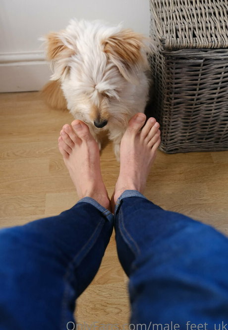 male feet uk heiße pornografische bilder