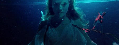 Lilly Fleur Pointeaux top kunst galerie