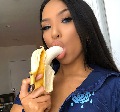 iconica kostenlose akt archiv