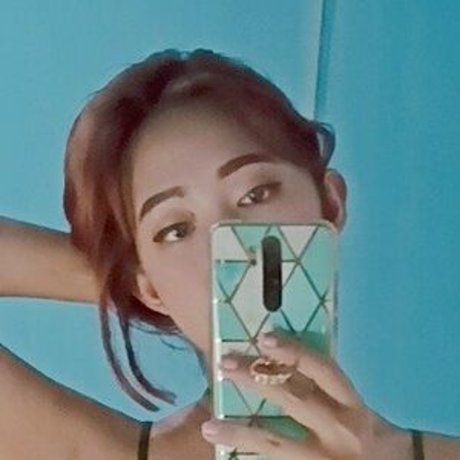 Saltie_ hd freie bilder