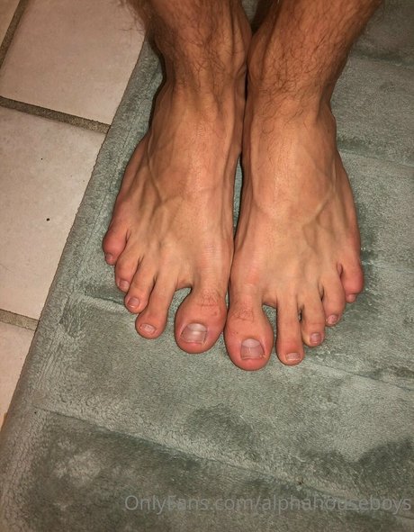 alphahouseboys schöne sex fotos