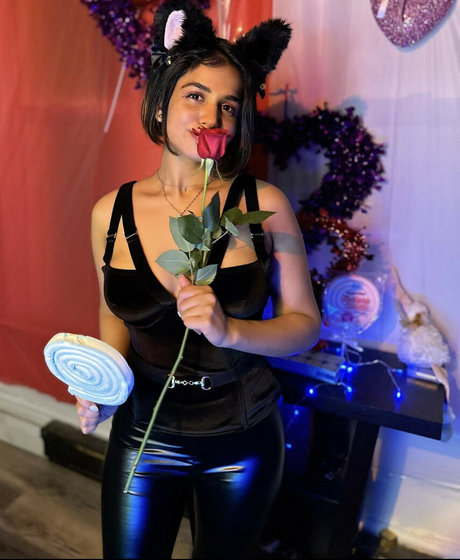 Little Grapefruit kostenlose beste galerie