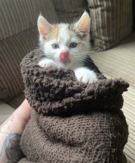 emss x nackt pornografische foto