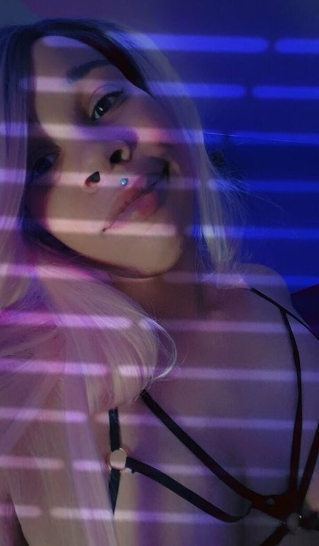 terryburrs beste nette bilder